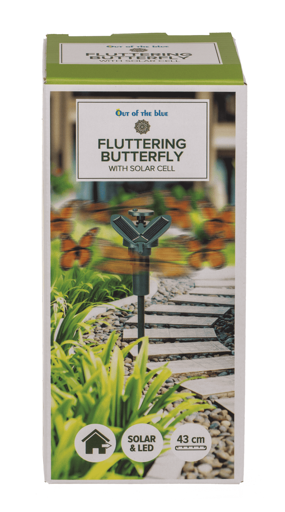 Fluttering Butterfly,