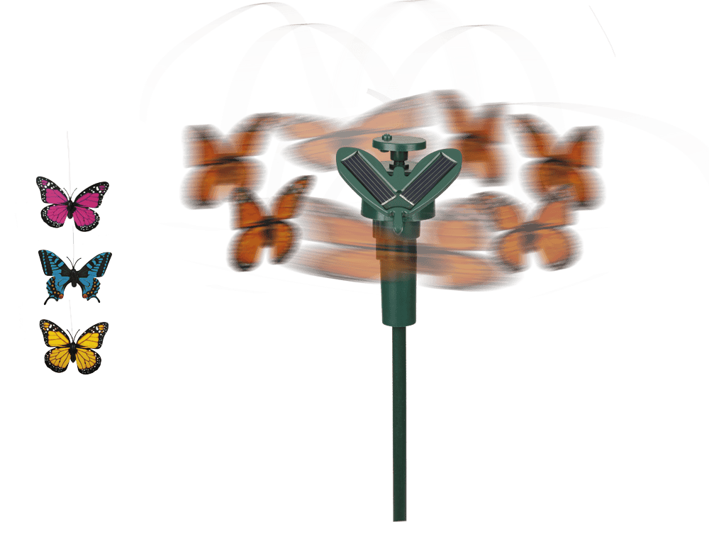 Fluttering Butterfly,