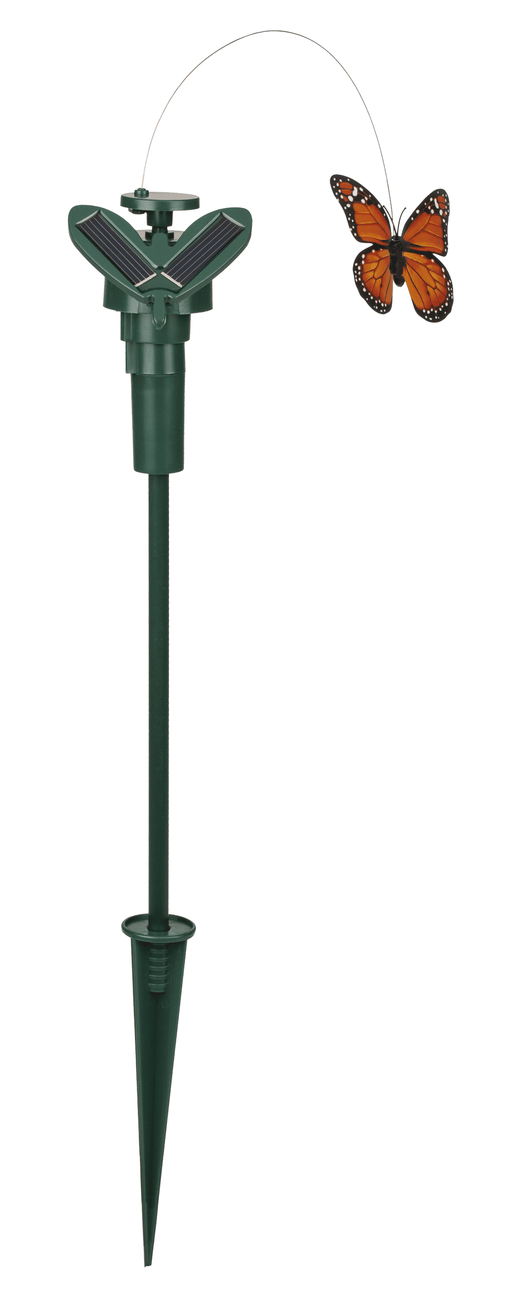 Fluttering Butterfly,