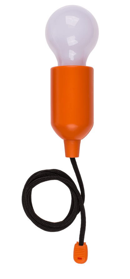 Light with LED, Bulb,