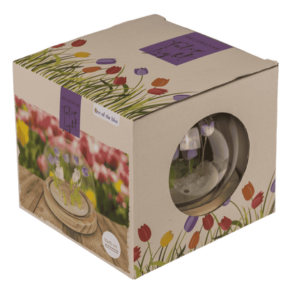 LED decorative light, Tulip, 10 x 10 cm,