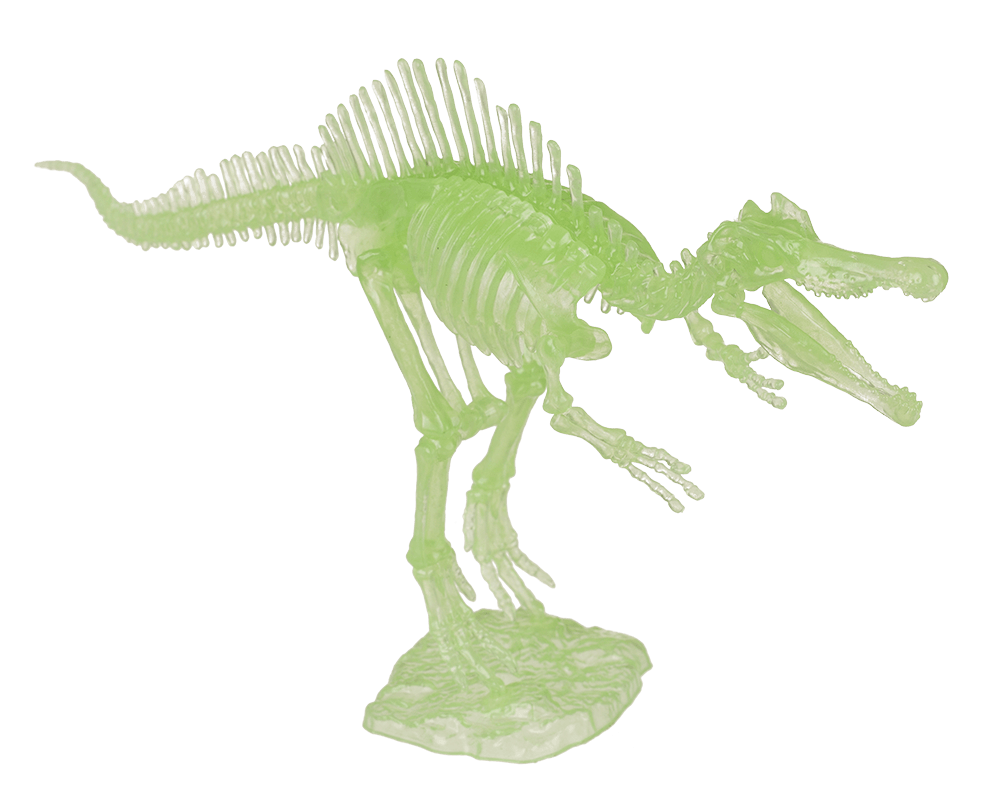 DIY Dinosaur Skeleton Assembly Kit, approx. 10 cm,