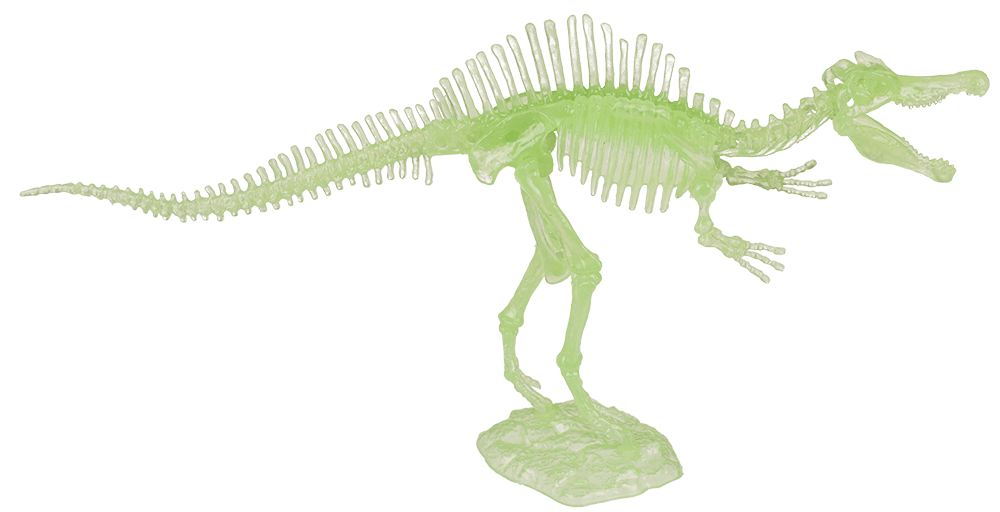 DIY Dinosaur Skeleton Assembly Kit, approx. 10 cm,