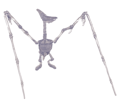 DIY Dinosaur Skeleton Assembly Kit, approx. 10 cm,