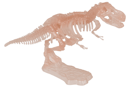 DIY Dinosaur Skeleton Assembly Kit, approx. 10 cm,