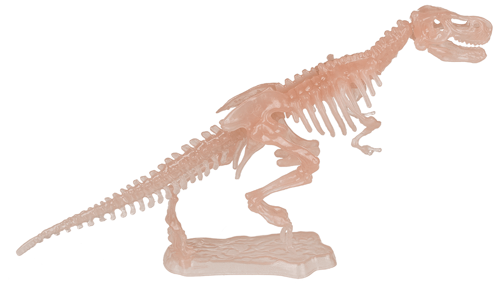 DIY Dinosaur Skeleton Assembly Kit, approx. 10 cm,