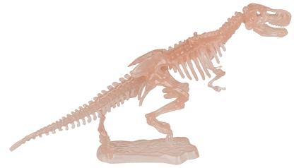 DIY Dinosaur Skeleton Assembly Kit, approx. 10 cm,