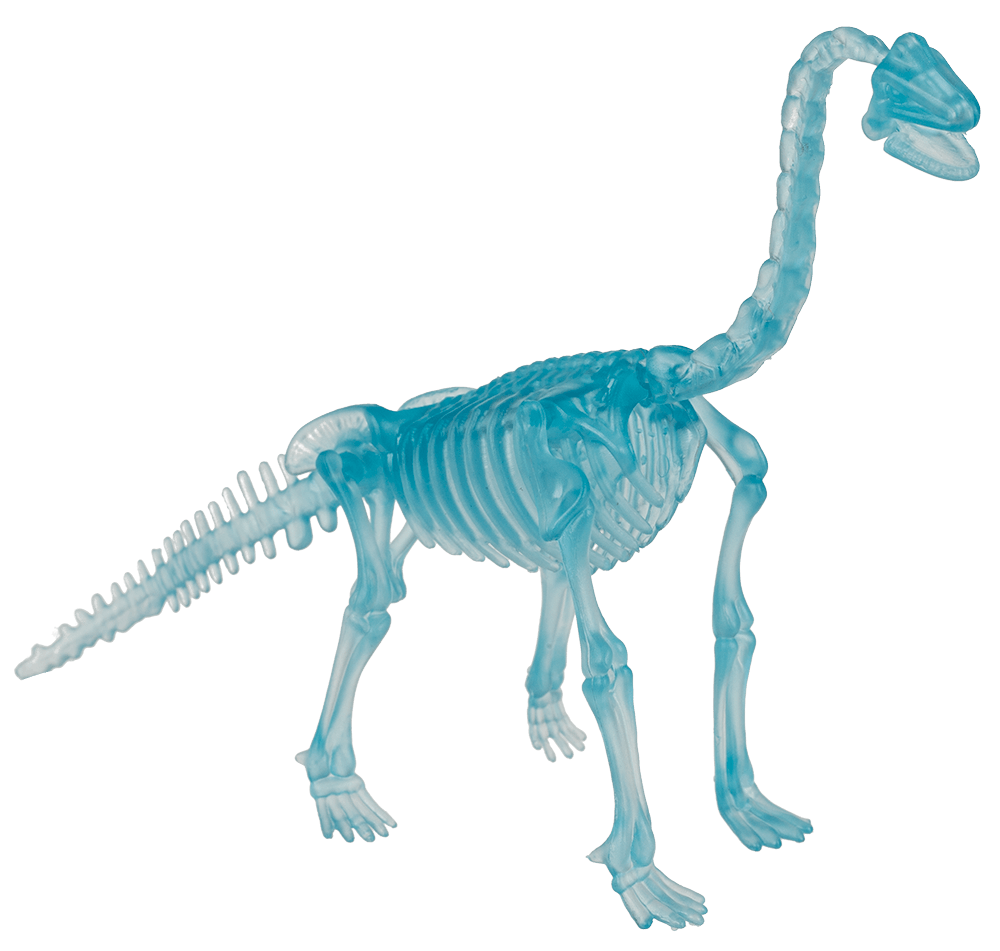 DIY Dinosaur Skeleton Assembly Kit, approx. 10 cm,