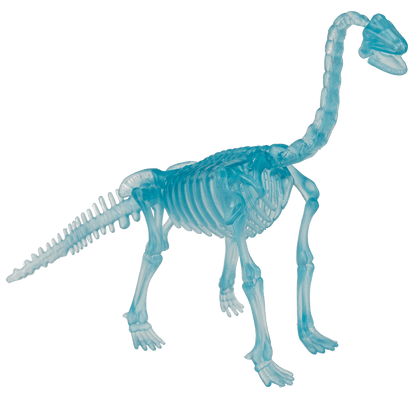 DIY Dinosaur Skeleton Assembly Kit, approx. 10 cm,