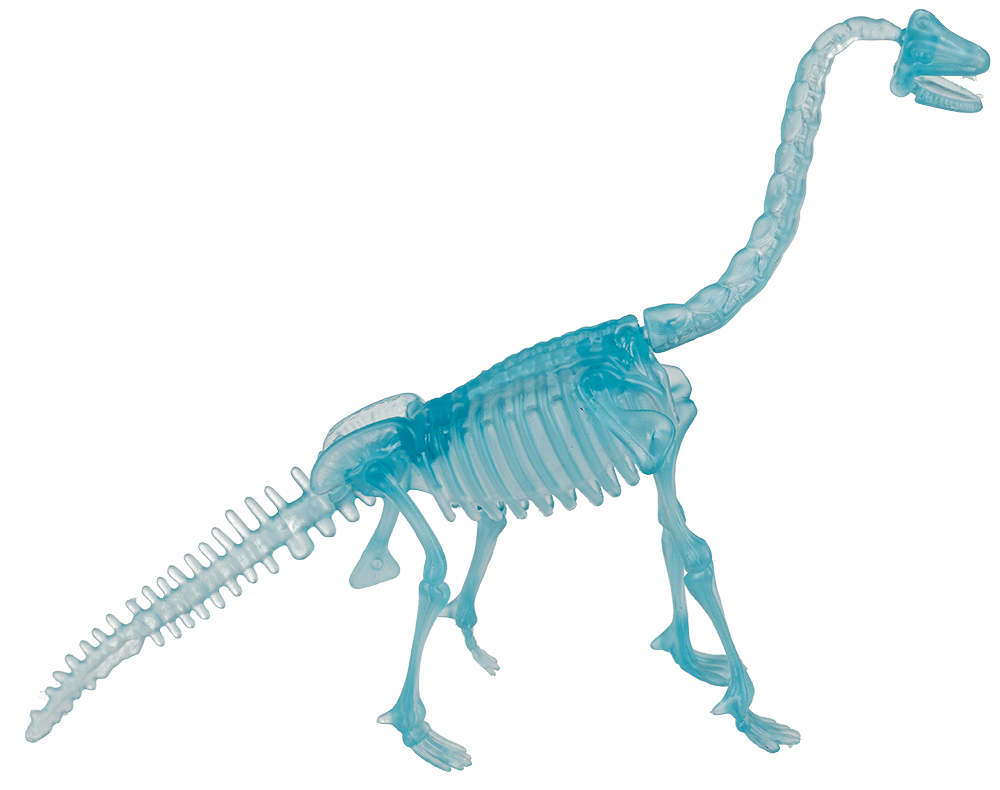 DIY Dinosaur Skeleton Assembly Kit, approx. 10 cm,