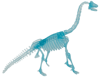 DIY Dinosaur Skeleton Assembly Kit, approx. 10 cm,