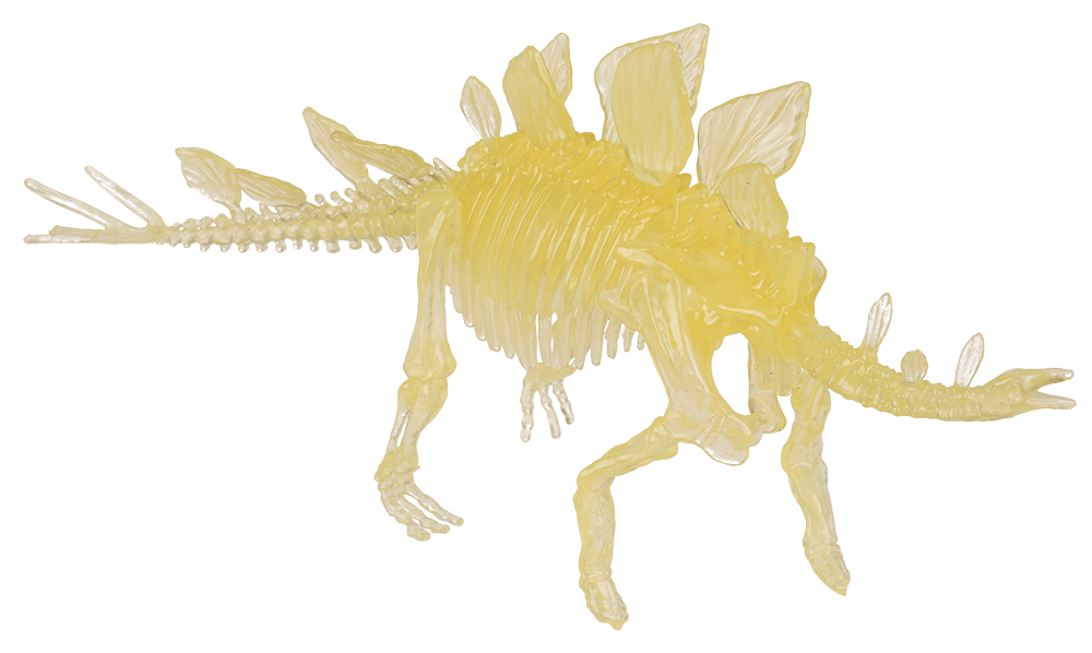 DIY Dinosaur Skeleton Assembly Kit, approx. 10 cm,