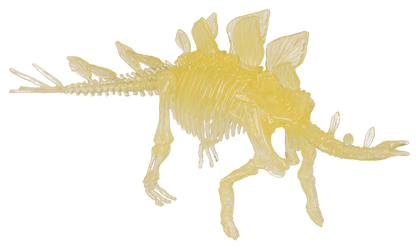 DIY Dinosaur Skeleton Assembly Kit, approx. 10 cm,