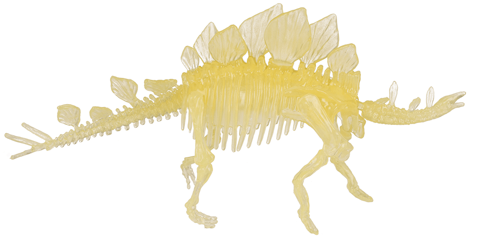 DIY Dinosaur Skeleton Assembly Kit, approx. 10 cm,