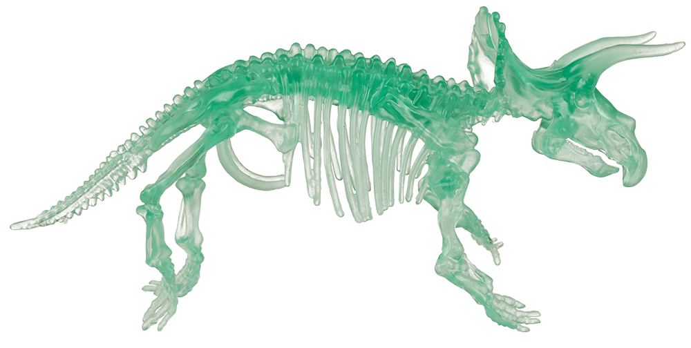 DIY Dinosaur Skeleton Assembly Kit, approx. 10 cm,