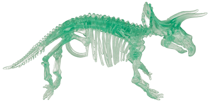 DIY Dinosaur Skeleton Assembly Kit, approx. 10 cm,