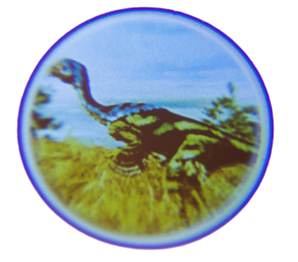 Projector, Dinosaur,