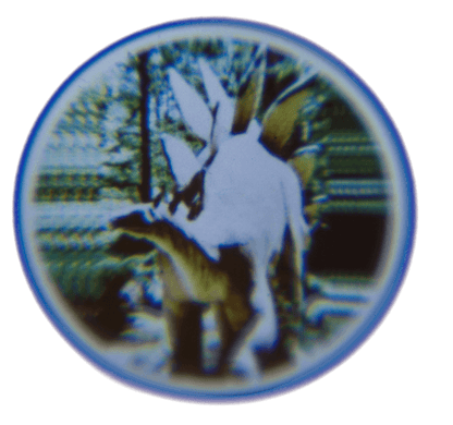 Projector, Dinosaur,