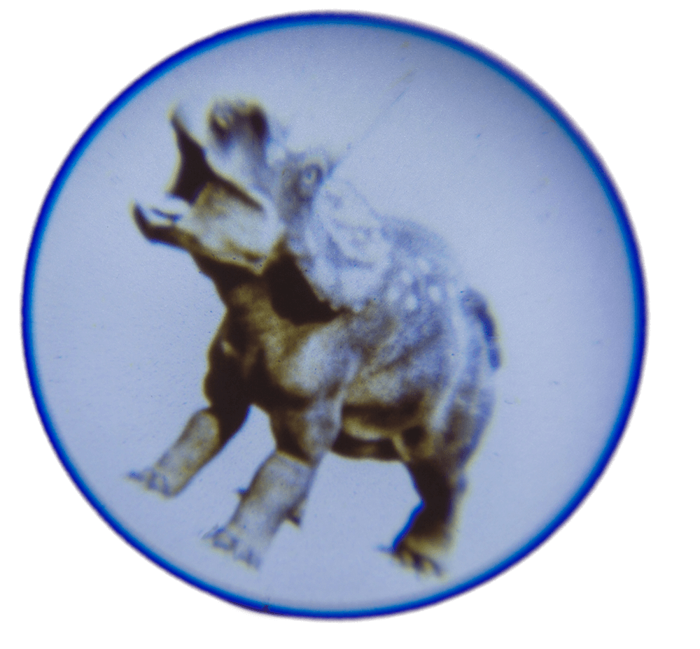 Projector, Dinosaur,