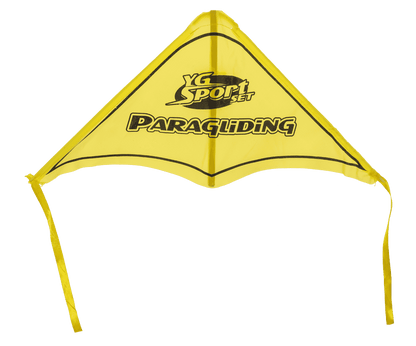 Glider with catapult, 23 x 45 cm,