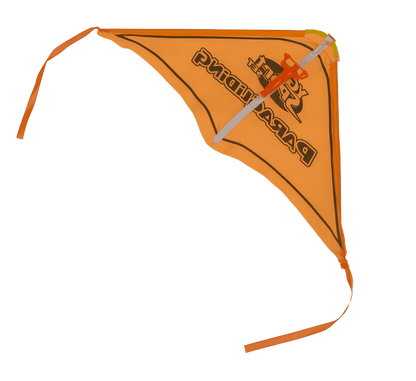 Glider with catapult, 23 x 45 cm,