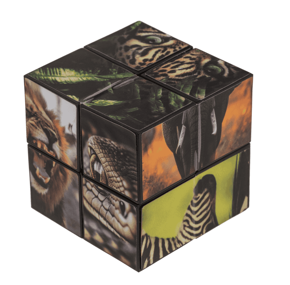 Boundless Cube, Wild Animals,