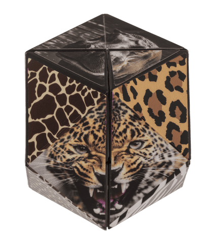 Boundless Cube, Wild Animals,