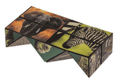 Boundless Cube, Wild Animals,