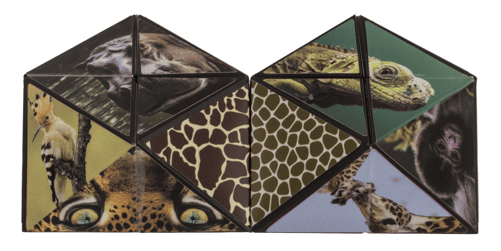 Boundless Cube, Wild Animals,