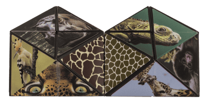 Boundless Cube, Wild Animals,