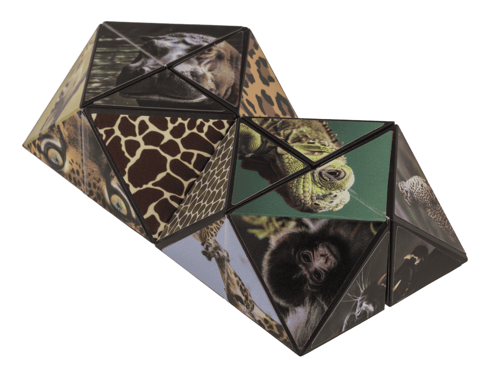 Boundless Cube, Wild Animals,
