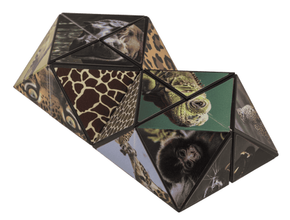 Boundless Cube, Wild Animals,