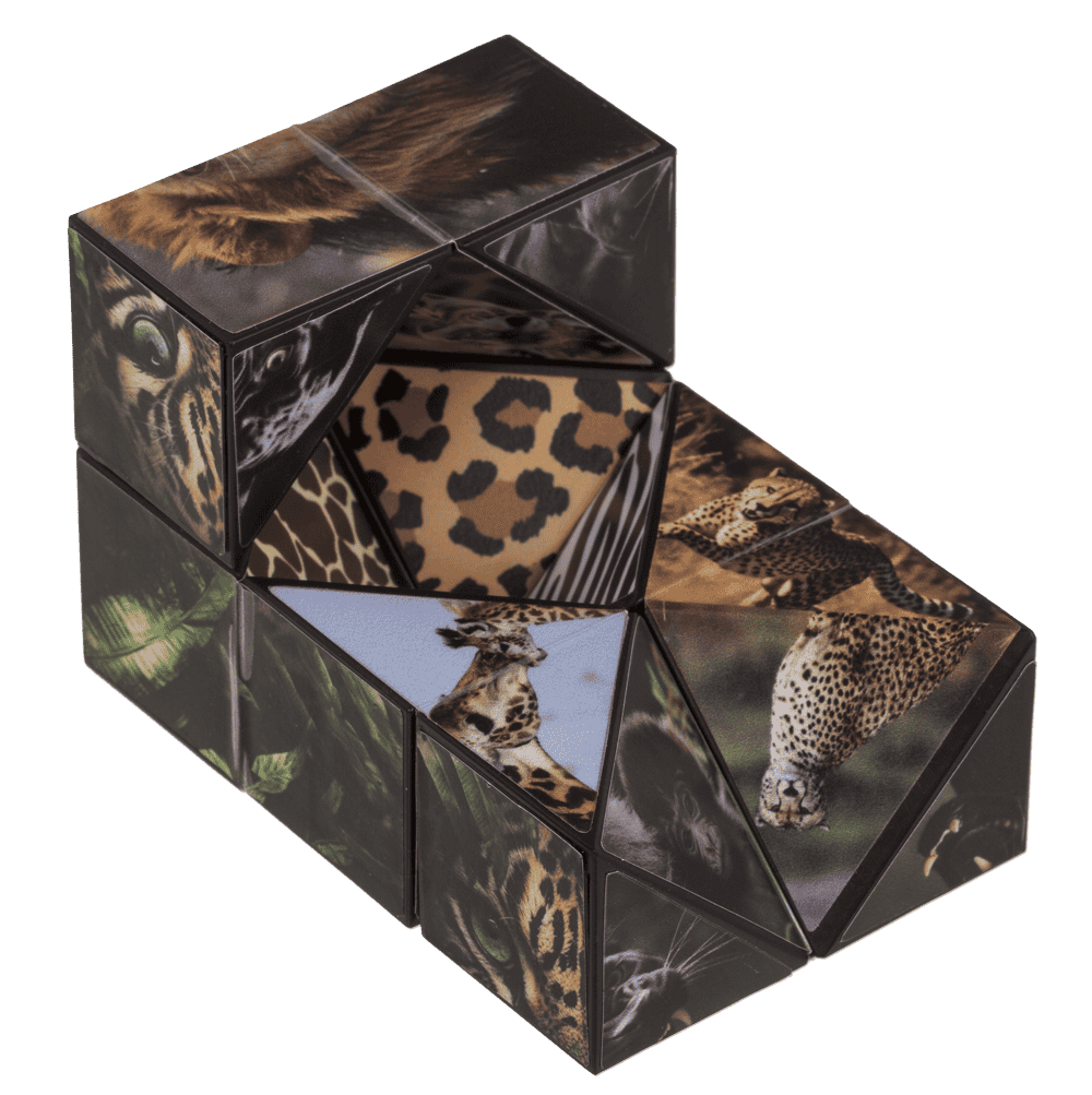 Boundless Cube, Wild Animals,