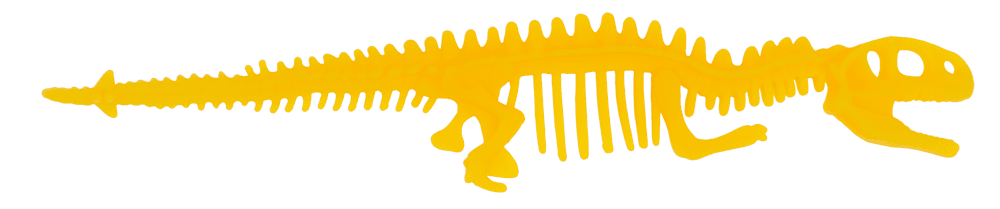 Stretchy Bone Bracelets,