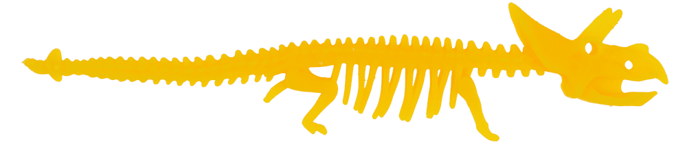 Stretchy Bone Bracelets,