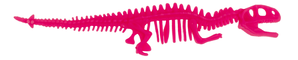 Stretchy Bone Bracelets,