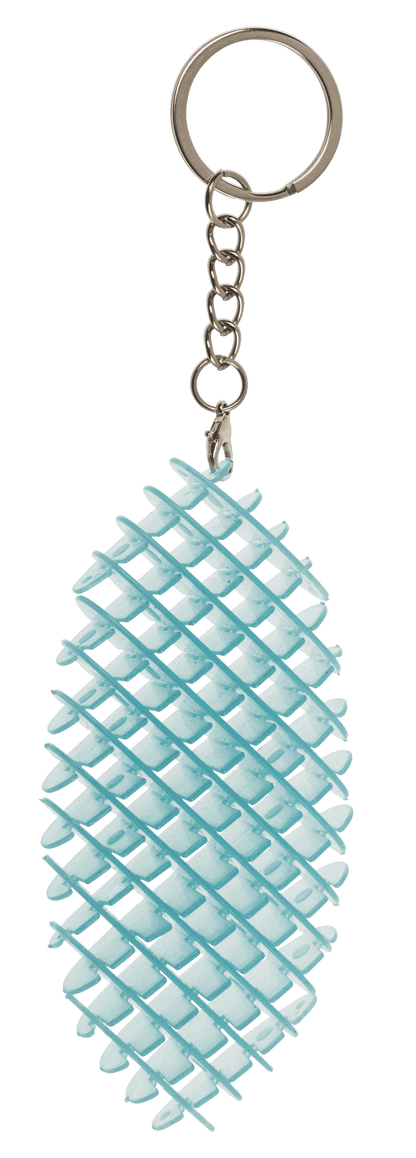 Metal keychain, Sensory Worm,