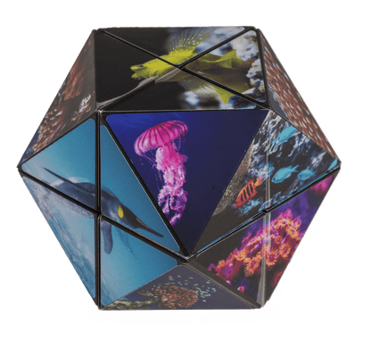 Boundless Cube,Sealife,