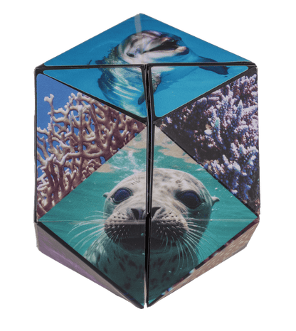 Boundless Cube,Sealife,