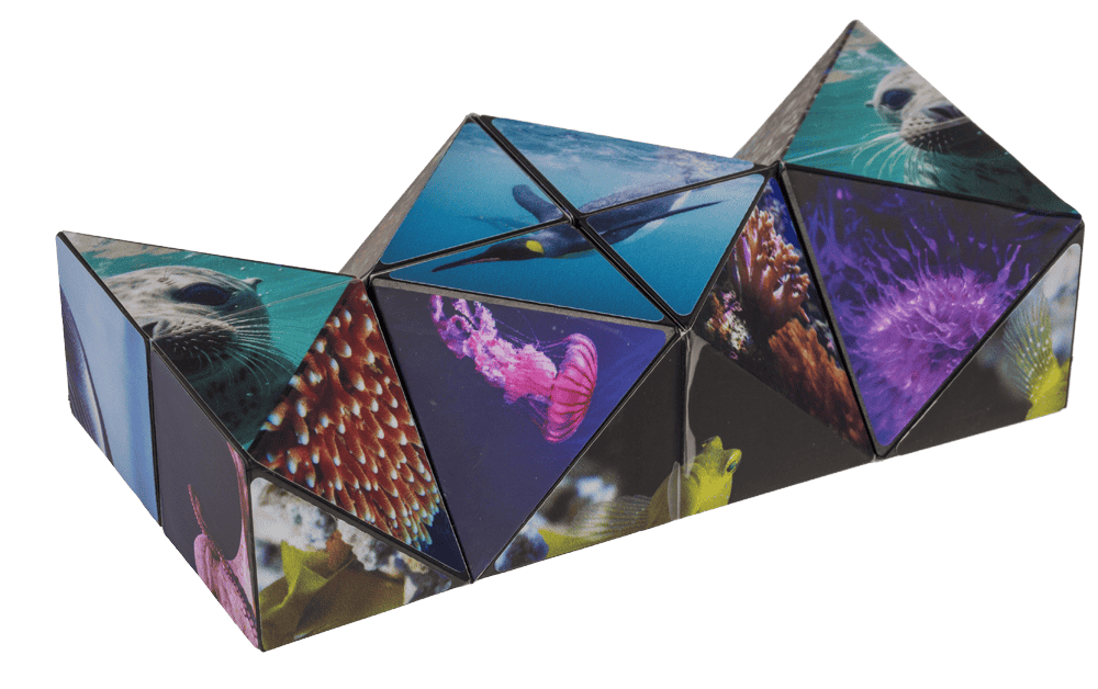 Boundless Cube,Sealife,