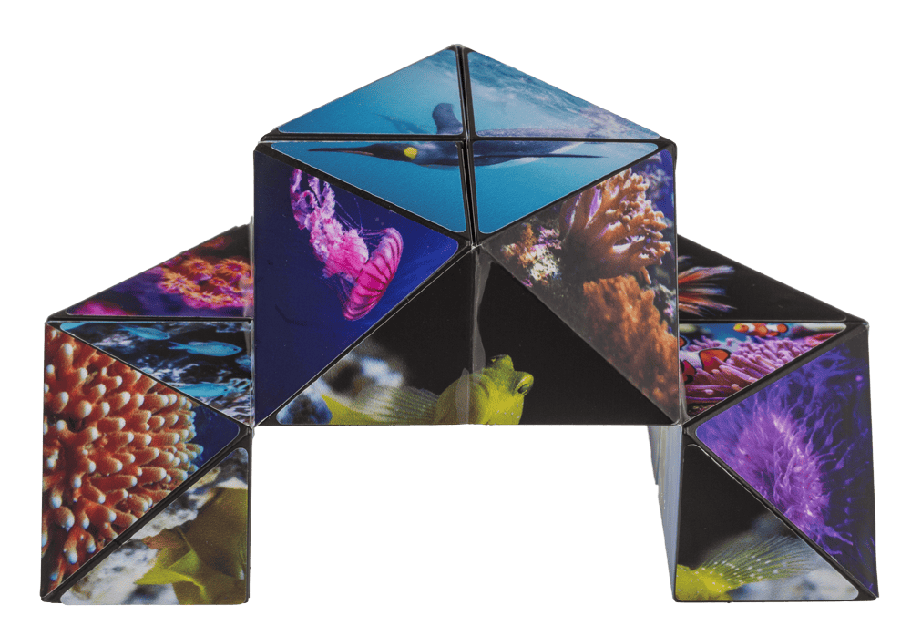 Boundless Cube,Sealife,