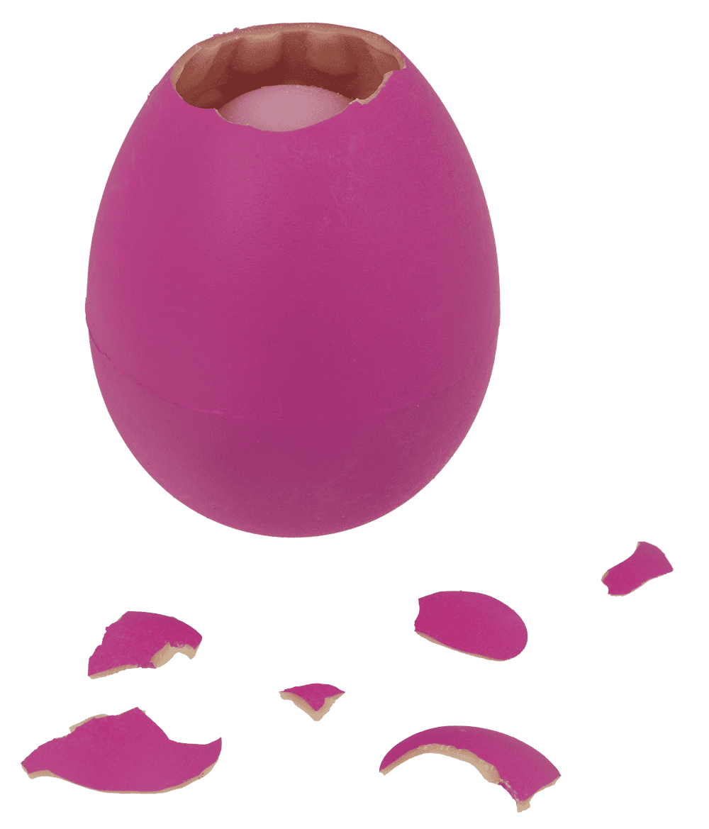 Growing Egg, Axolotl,