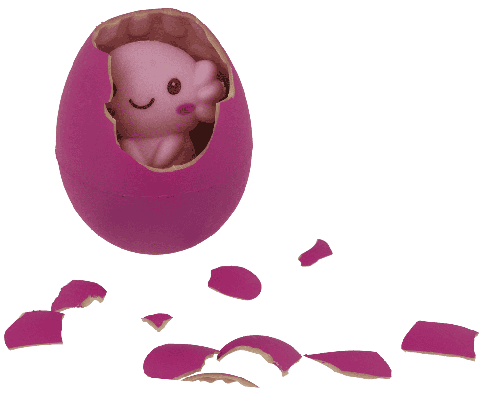 Growing Egg, Axolotl,