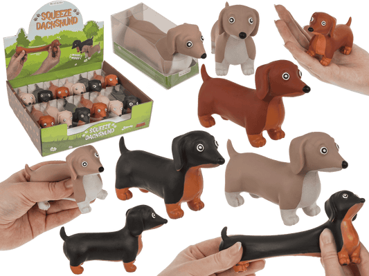 Squeeze Dachshund,