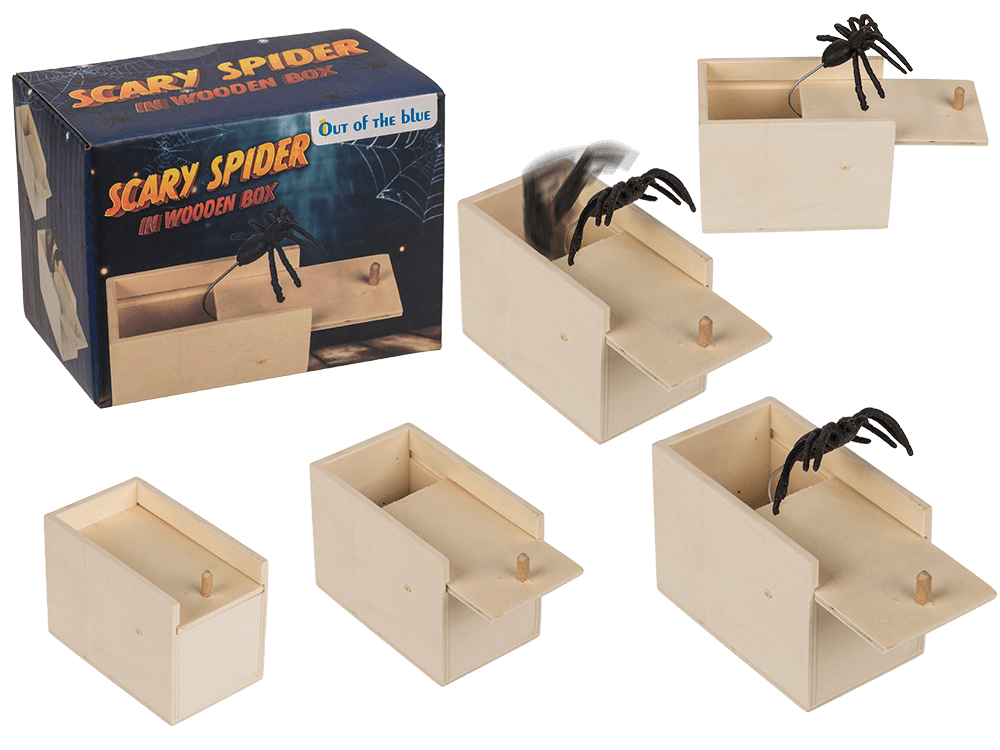 Scary spider in wooden box,