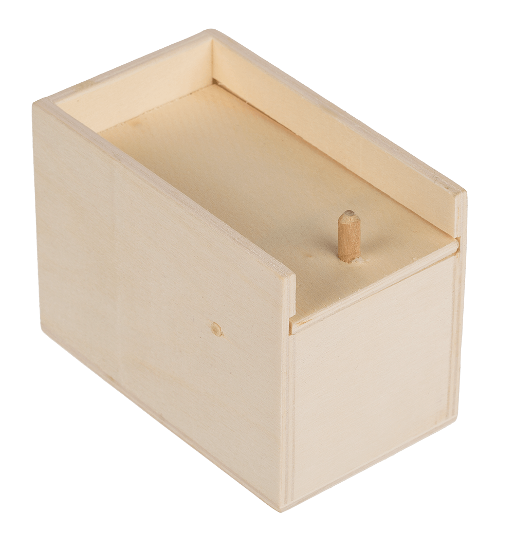 Scary spider in wooden box,