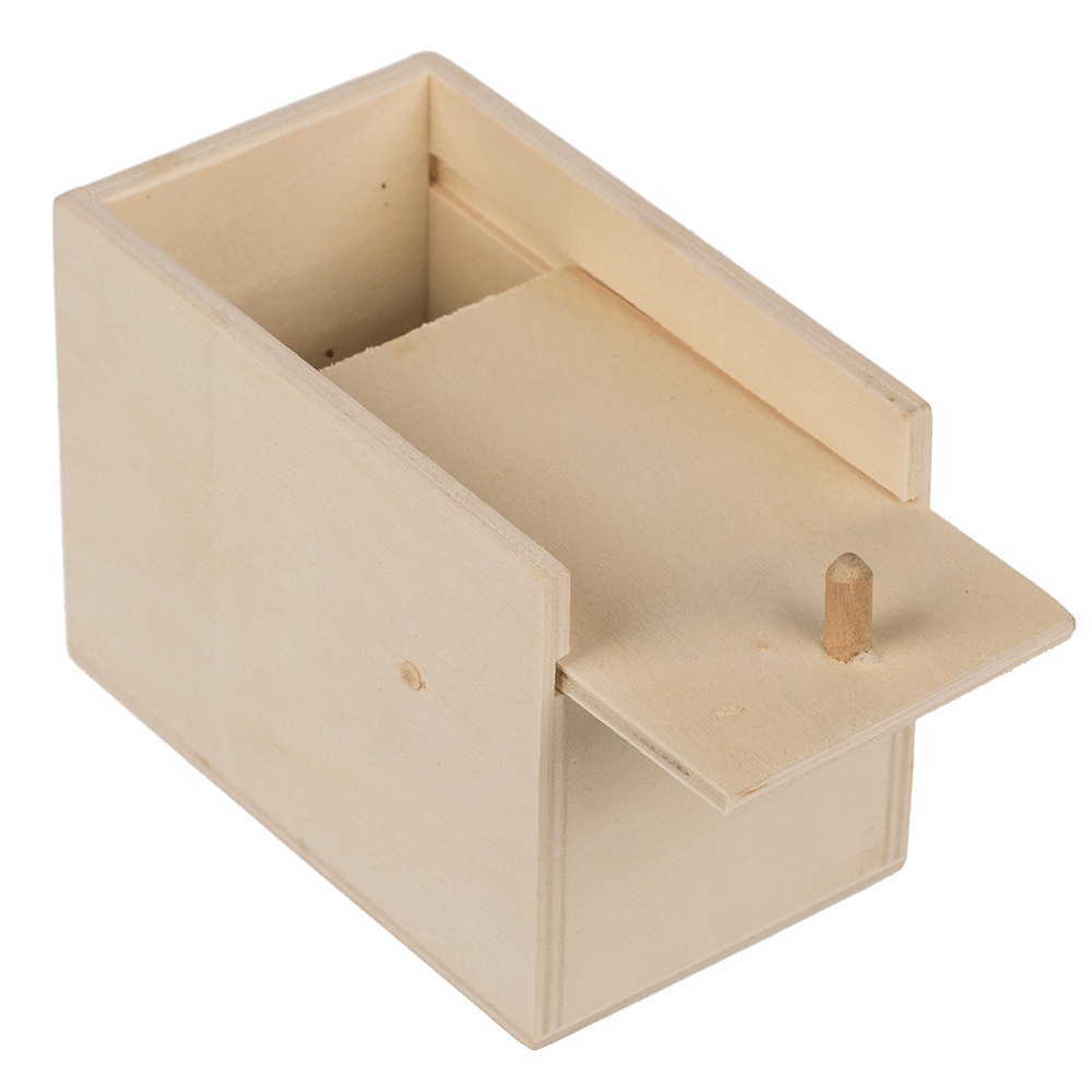 Scary spider in wooden box,