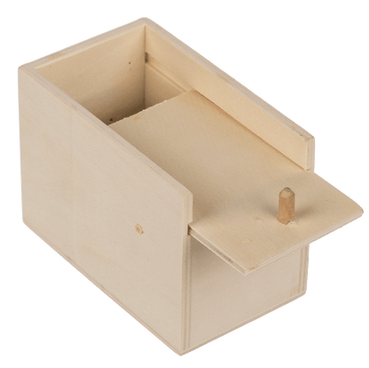 Scary spider in wooden box,