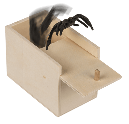 Scary spider in wooden box,