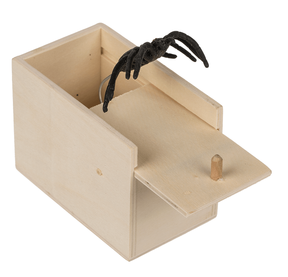 Scary spider in wooden box,